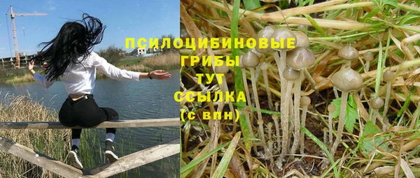 героин Абаза