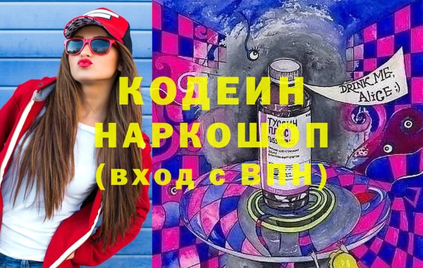 дмт Пестово